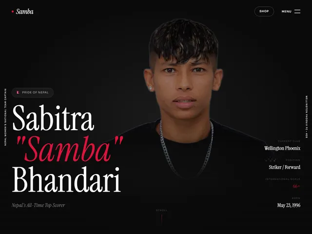 Samba Portfolio — live example screenshot
