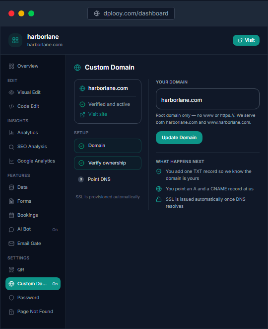The Custom Domain pane in the Dplooy dashboard, with a domain verified and secured