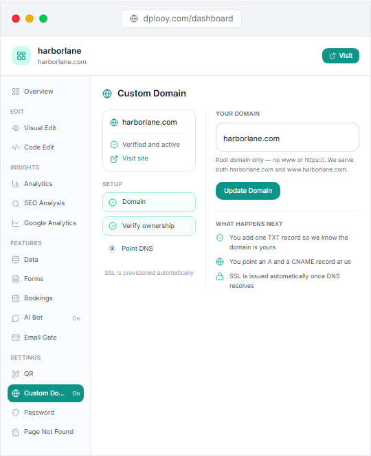 The Custom Domain pane in the Dplooy dashboard, with a domain verified and secured